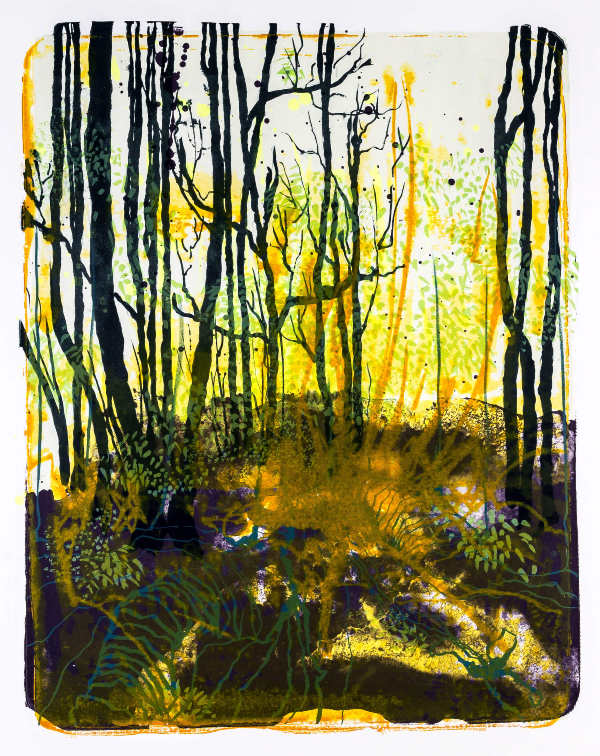 Katharina Albers, Wald X-X, 2015, Farblithographie, Unikat, 50×40 cm