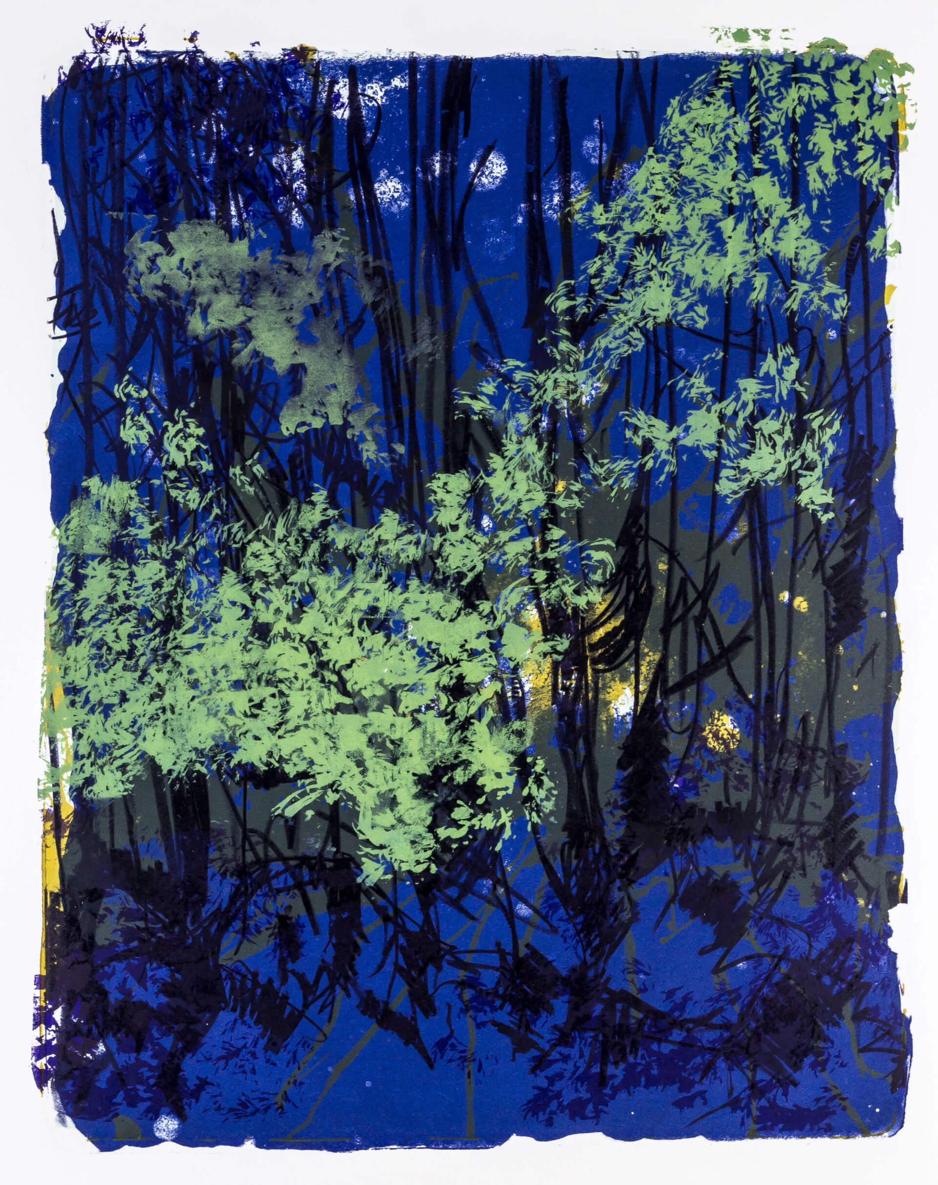 Katharina Albers, Wald X-XVIII, 2015, Farblithographie, Unikat, 50×40 cm