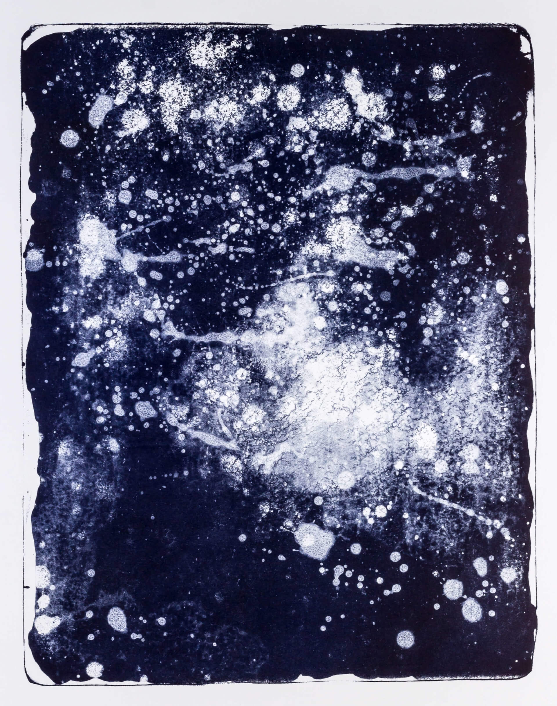 Katharina Albers, Wald X-XXVII, 2015, Farblithographie, Unikat, 50×40 cm