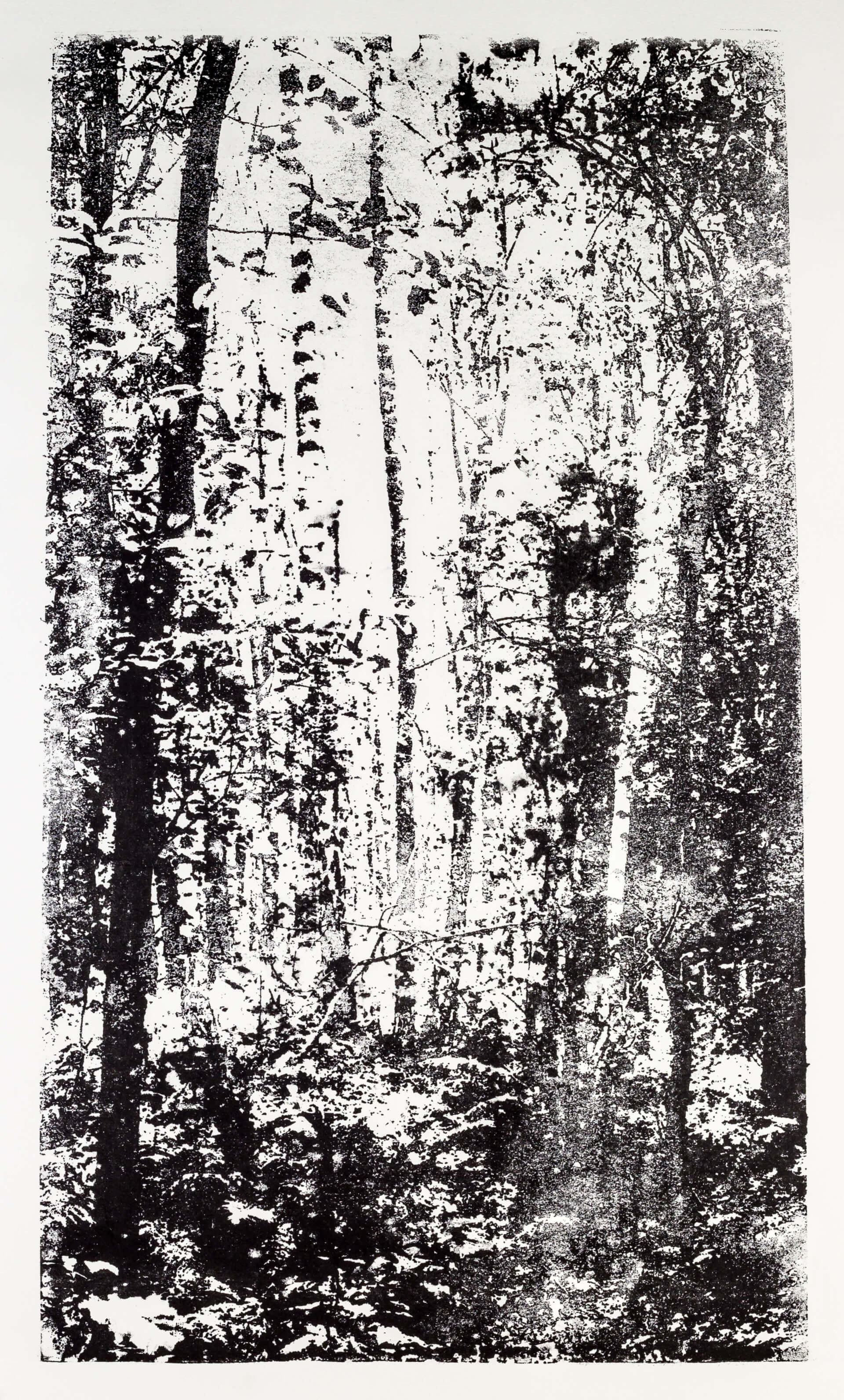 Katharina Albers, Wald XX-I, 2015, Lithographie, Unikat, 60×33 cm