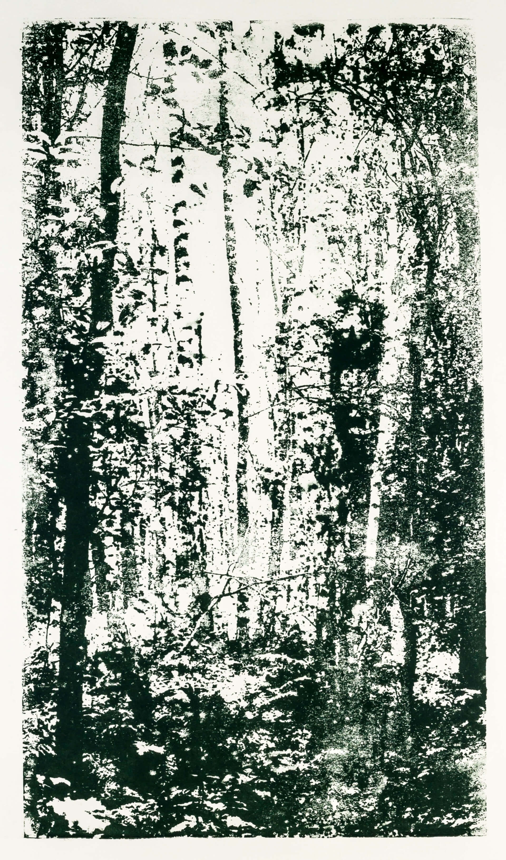 Katharina Albers, Wald XX.I-I, 2015, Farblithographie, Unikat, 60×33 cm