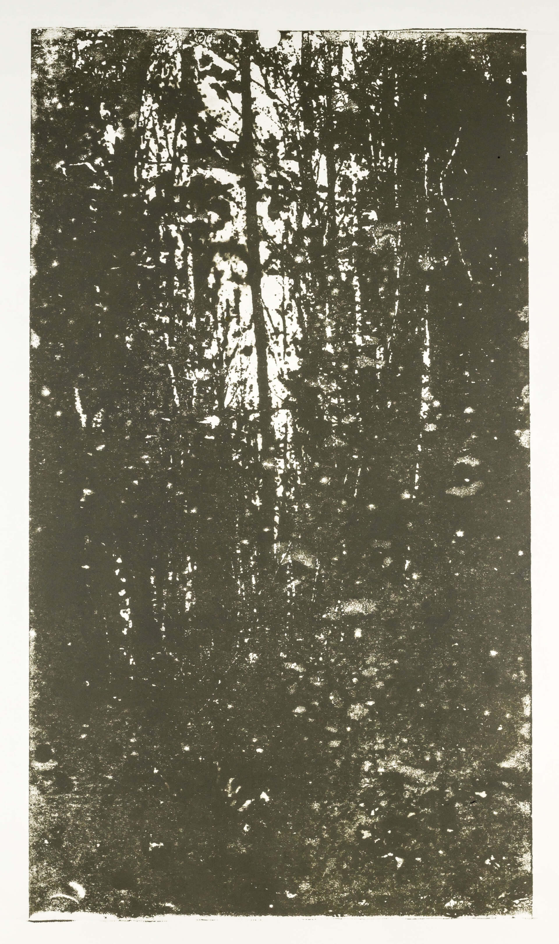 Katharina Albers, Wald XX.I-II, 2015, Farblithographie, Unikat, 60×33 cm