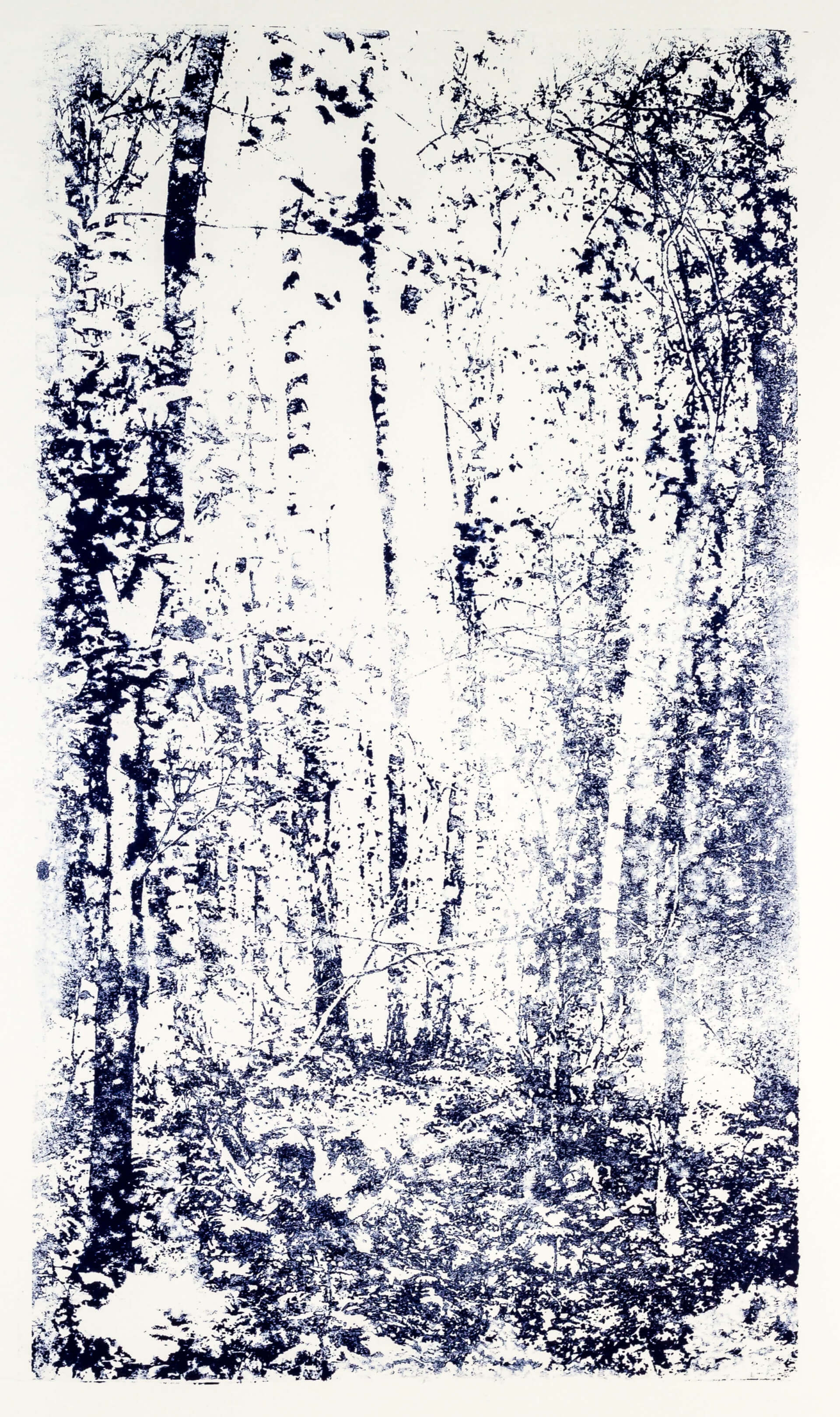 Katharina Albers, Wald XX.I-IV, 2015, Farblithographie, Unikat, 60×33 cm