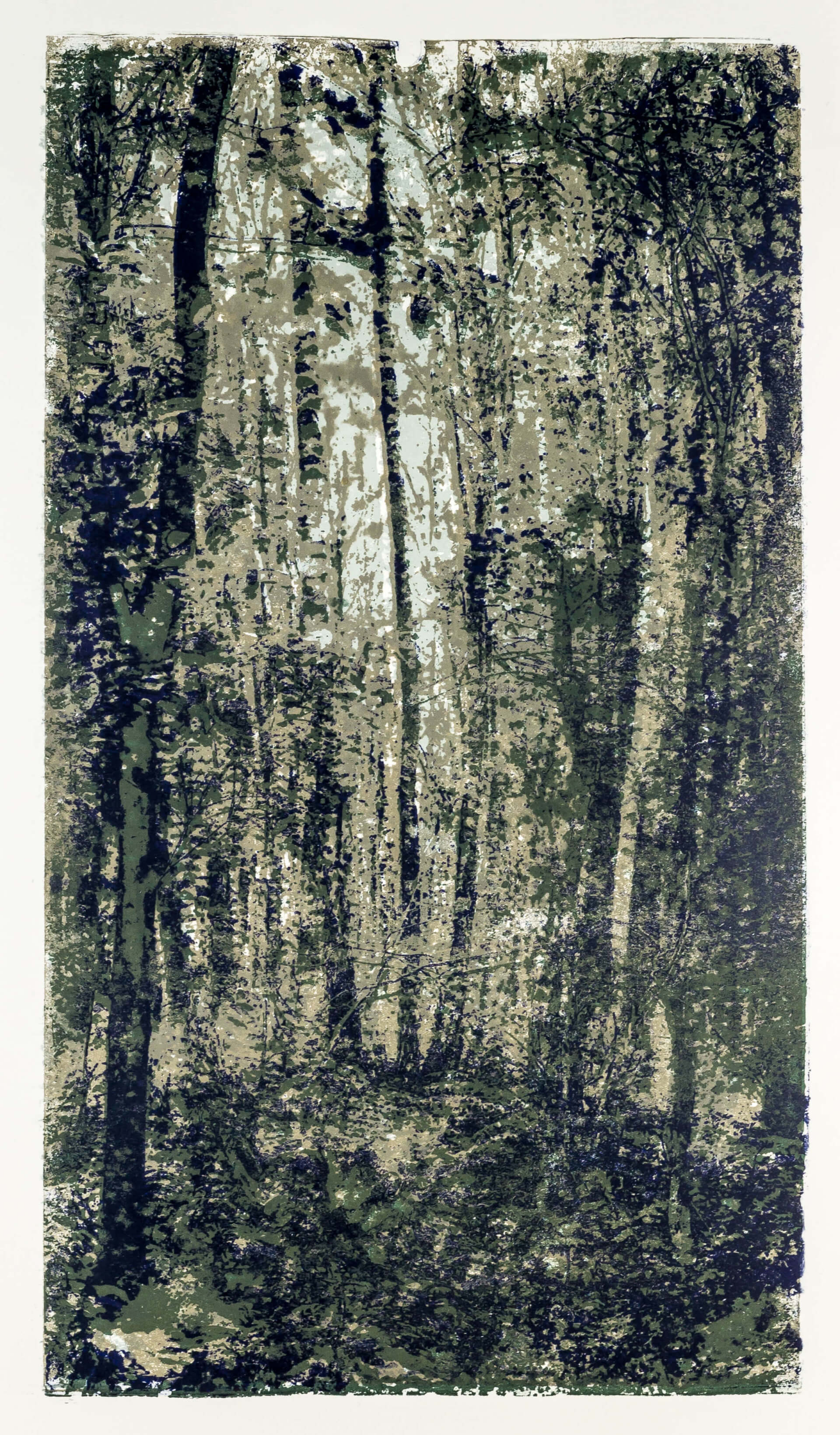 Katharina Albers, Wald XXXI, 2015, Farblithographie,1 von 2, 60×33 cm