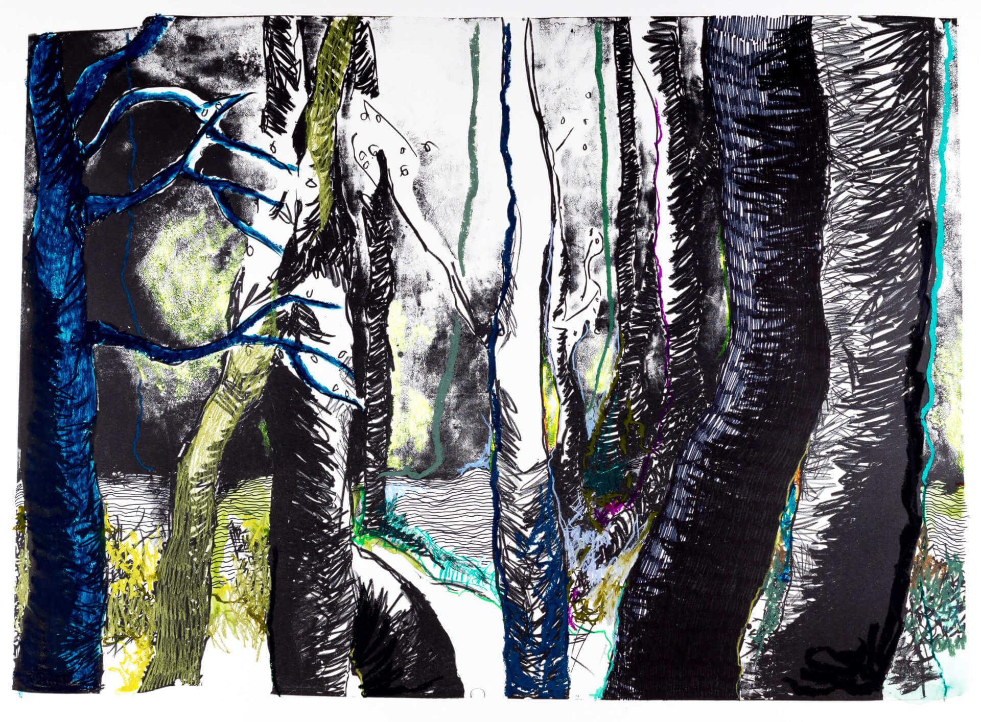 Katharina Albers, Wald (F_A)(C), 2015, Lithographie handkoloriert (Ölkreide, Graphit, Aquarellfarbe, Fineliner), Unikat, 70×100 cm