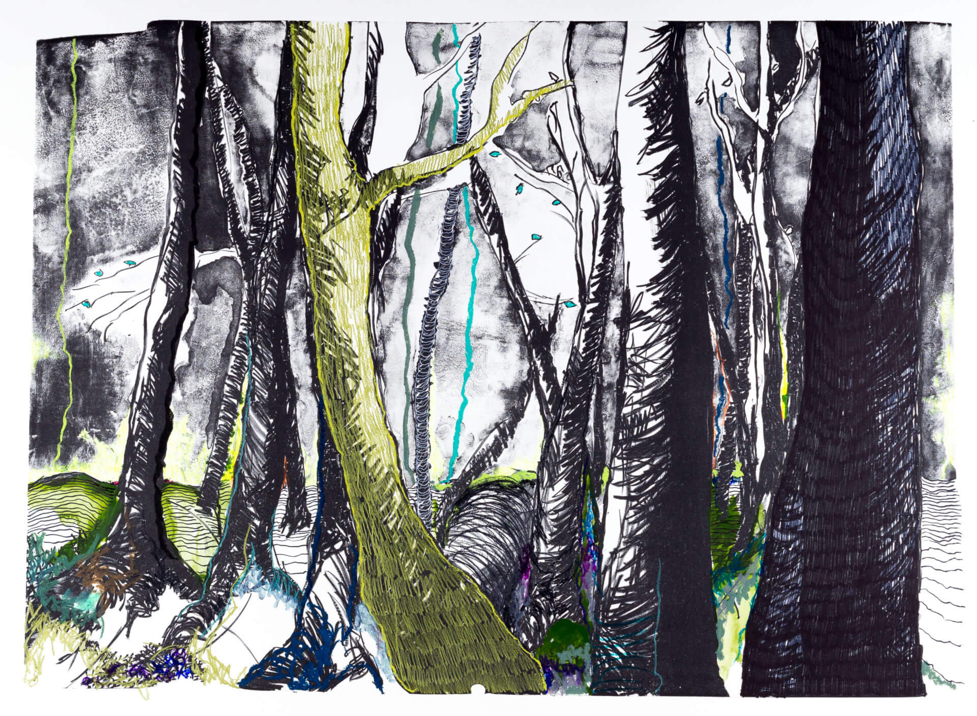 Katharina Albers, Wald (F_A)(D), 2015, Lithographie handkoloriert (Ölkreide, Graphit, Aquarellfarbe, Fineliner), Unikat, 70×100 cm