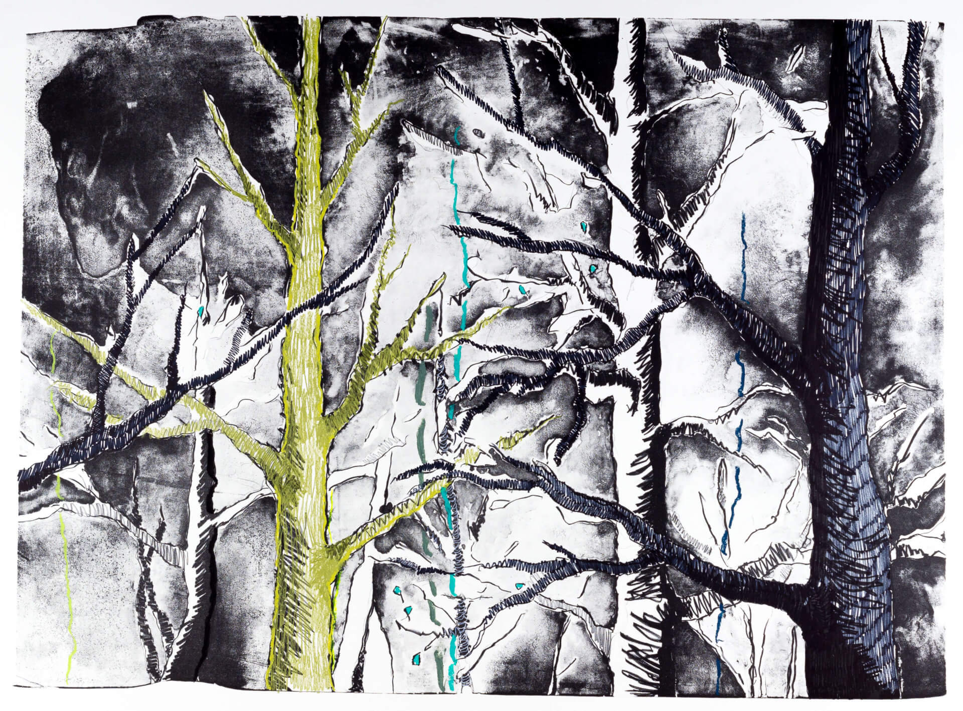Katharina Albers, Wald (F_A)(F), 2015, Lithographie handkoloriert (Ölkreide, Graphit, Aquarellfarbe, Fineliner), Unikat, 70×100 cm