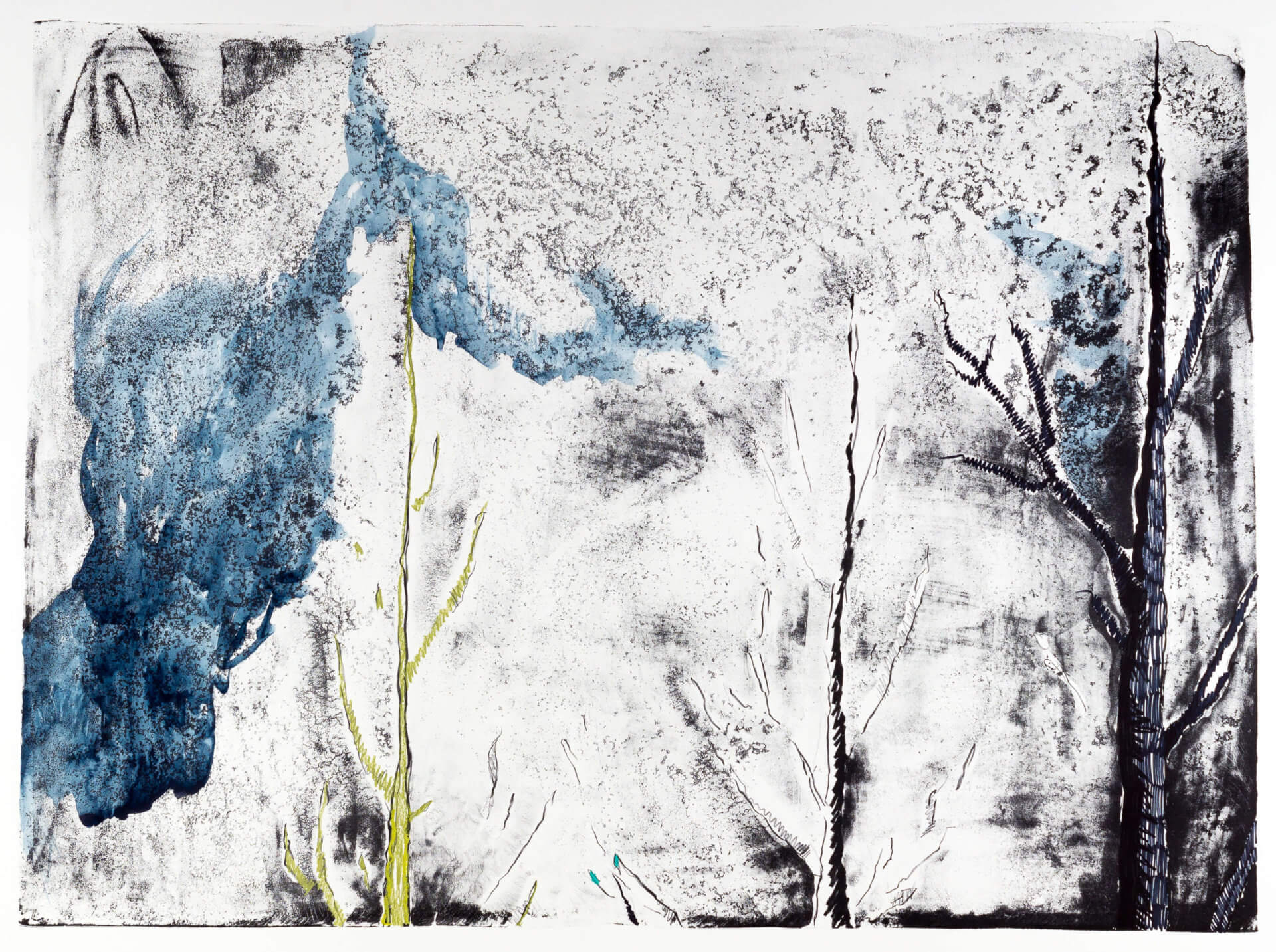 Katharina Albers, Wald (F_A)(H), 2015, Lithographie handkoloriert (Ölkreide, Graphit, Aquarellfarbe, Fineliner), Unikat, 70×100 cm