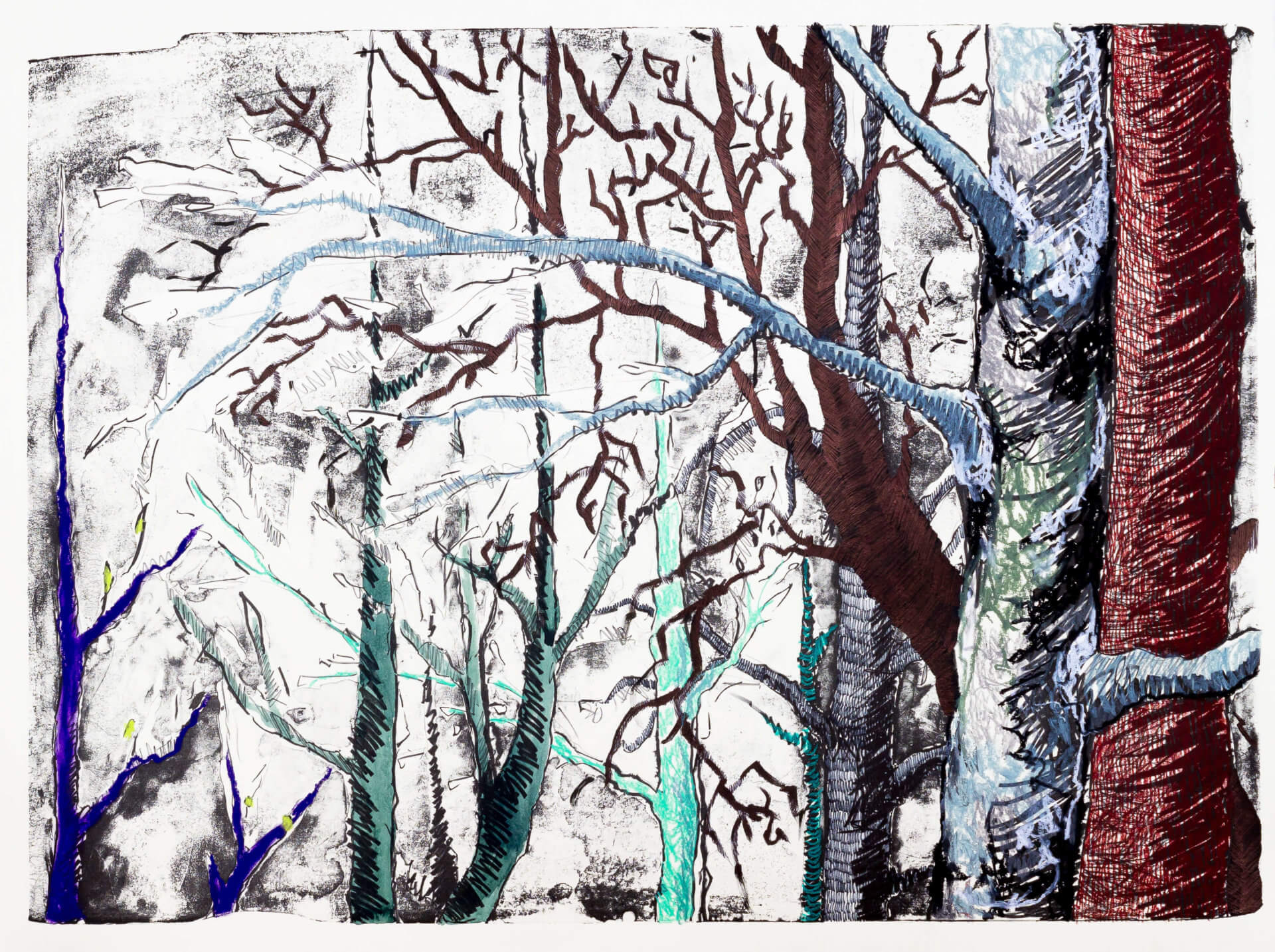 Katharina Albers, Wald (F_B)(E), 2016, Lithographie handkoloriert (Ölkreide, Graphit, Aquarellfarbe, Fineliner, Gelstift, Tusche), Unikat, 70×100 cm