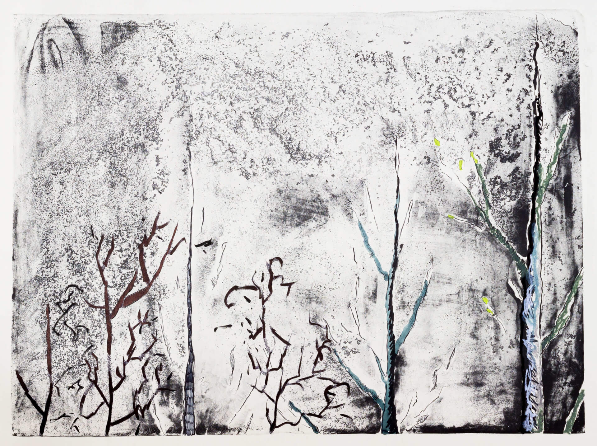 Katharina Albers, Wald (F_B)(H), 2016, Lithographie handkoloriert (Ölkreide, Graphit, Aquarellfarbe, Fineliner, Gelstift, Tusche), Unikat, 70×100 cm