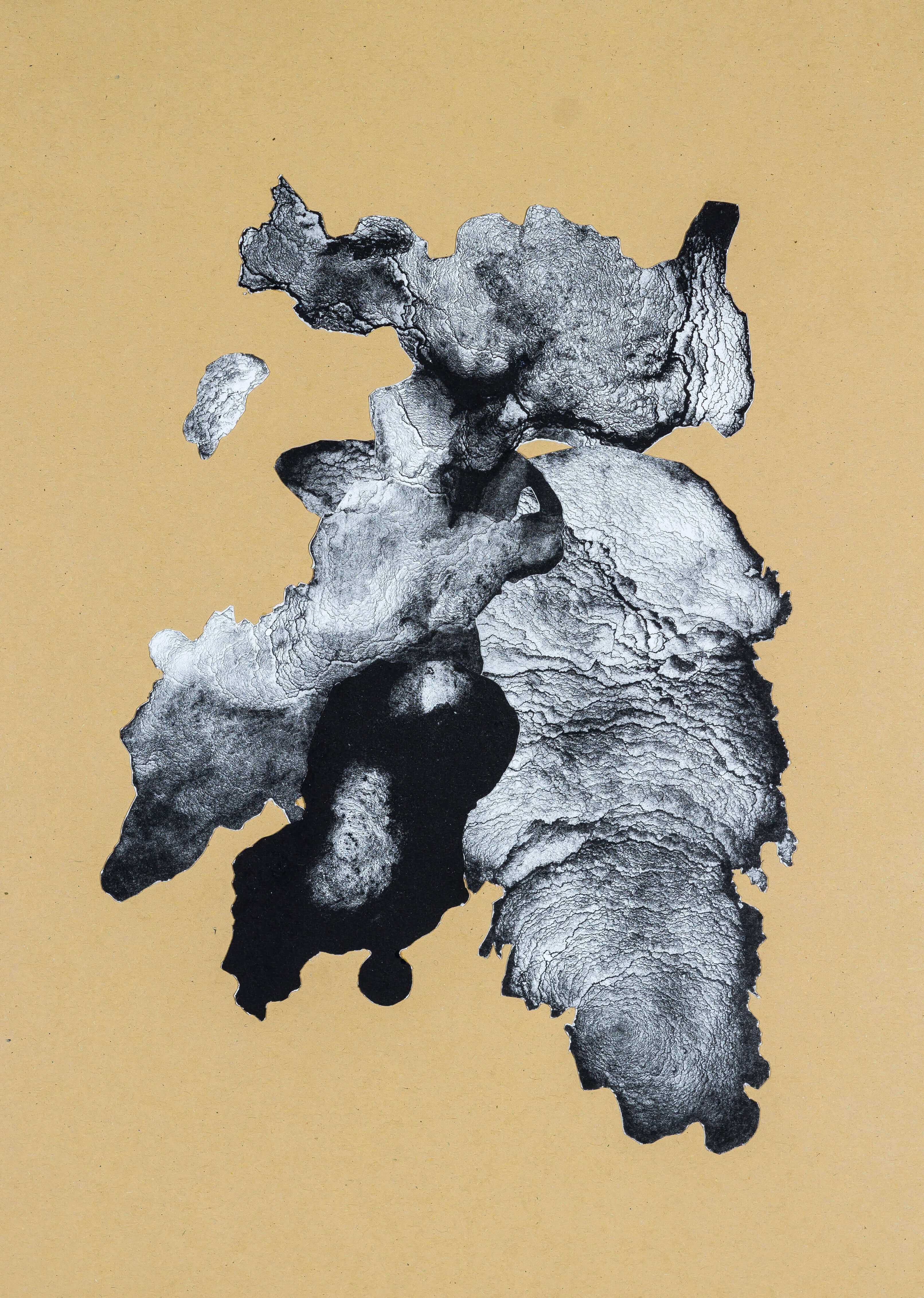 organism (cr) IV, 2018, Lithographiecollage auf Papier, Unikat, 41,5x30cm