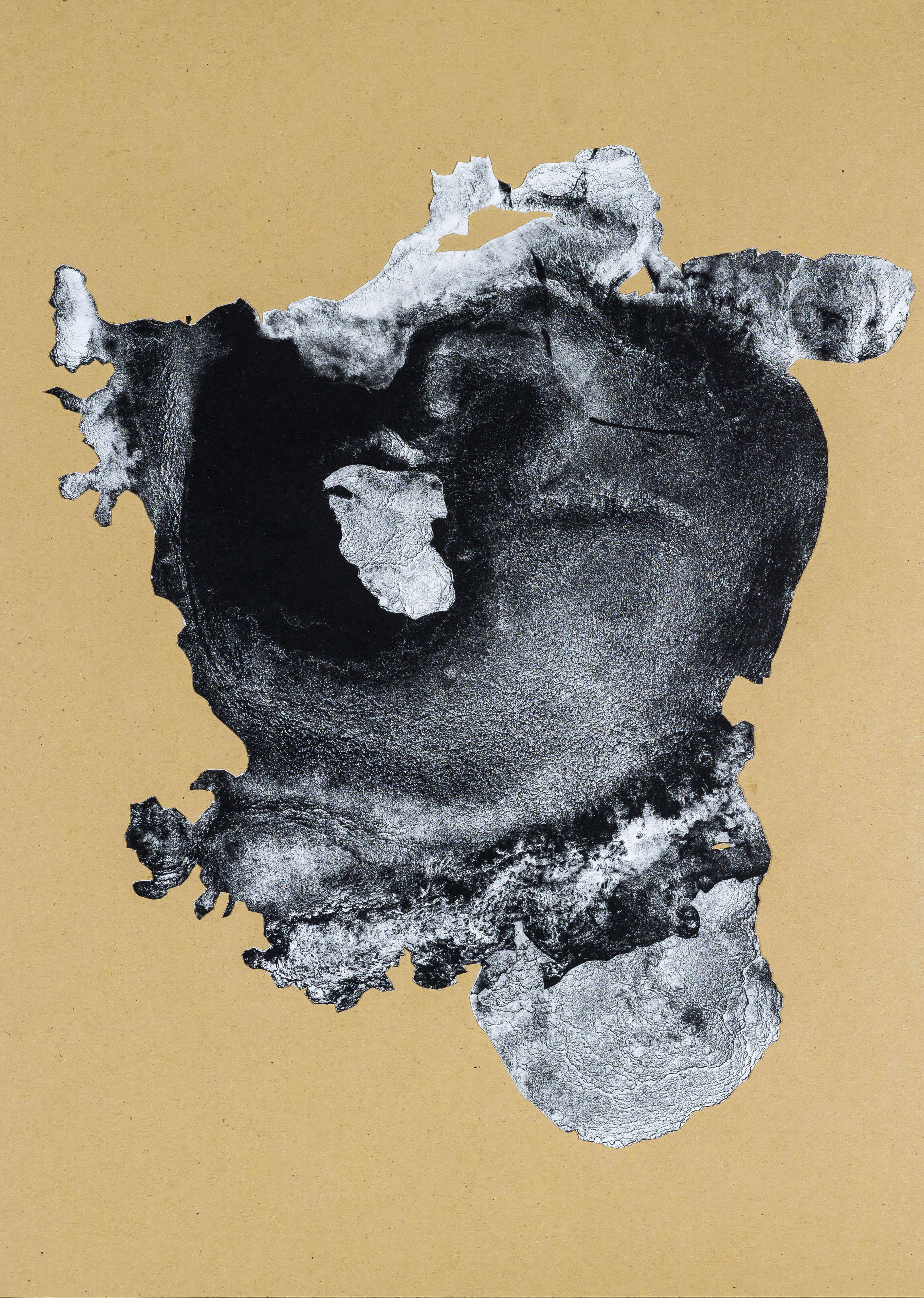 organism (cr) X, 2018, Lithographiecollage auf Papier, Unikat, 41,5x30cm